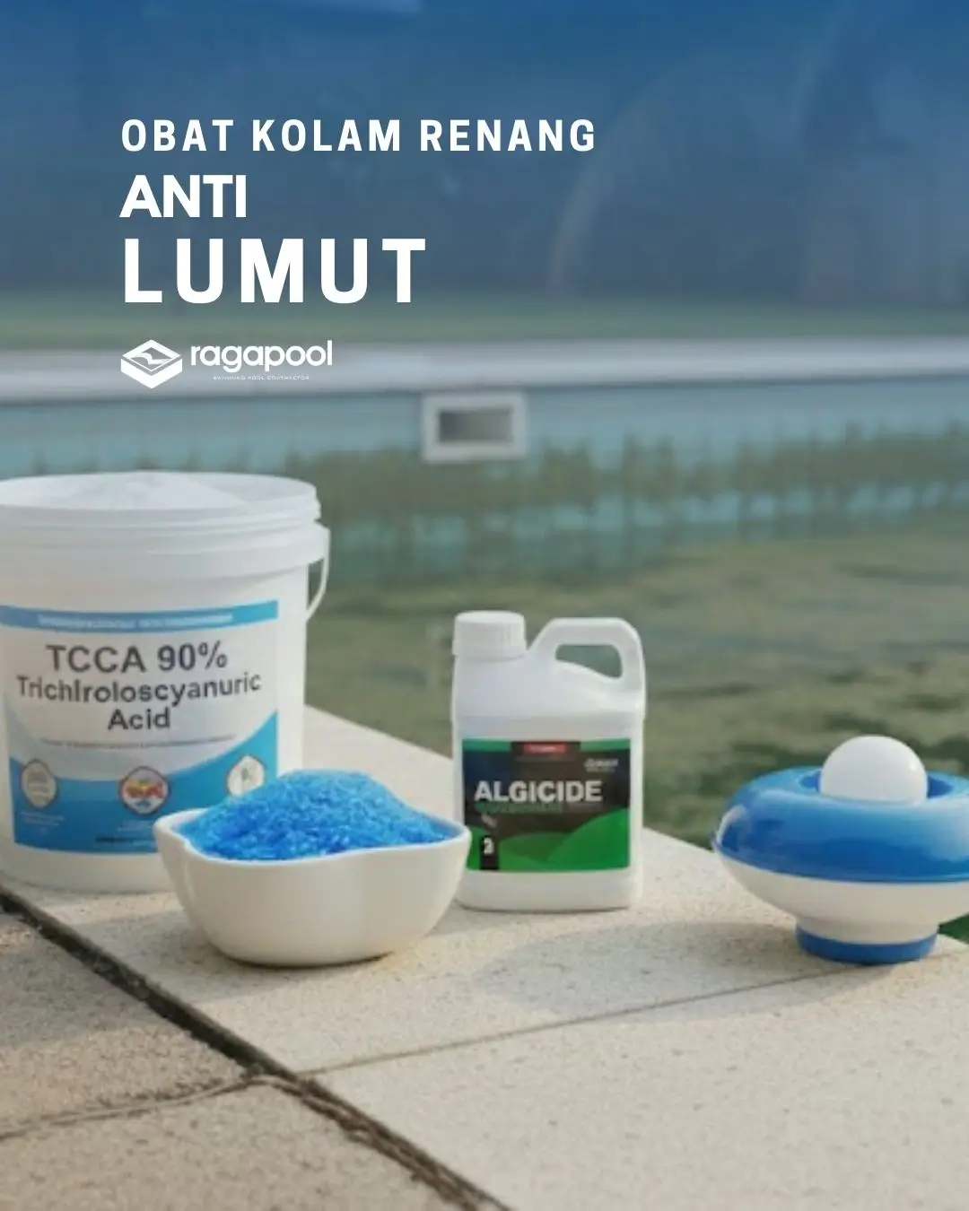 obat kolam renang anti lumut