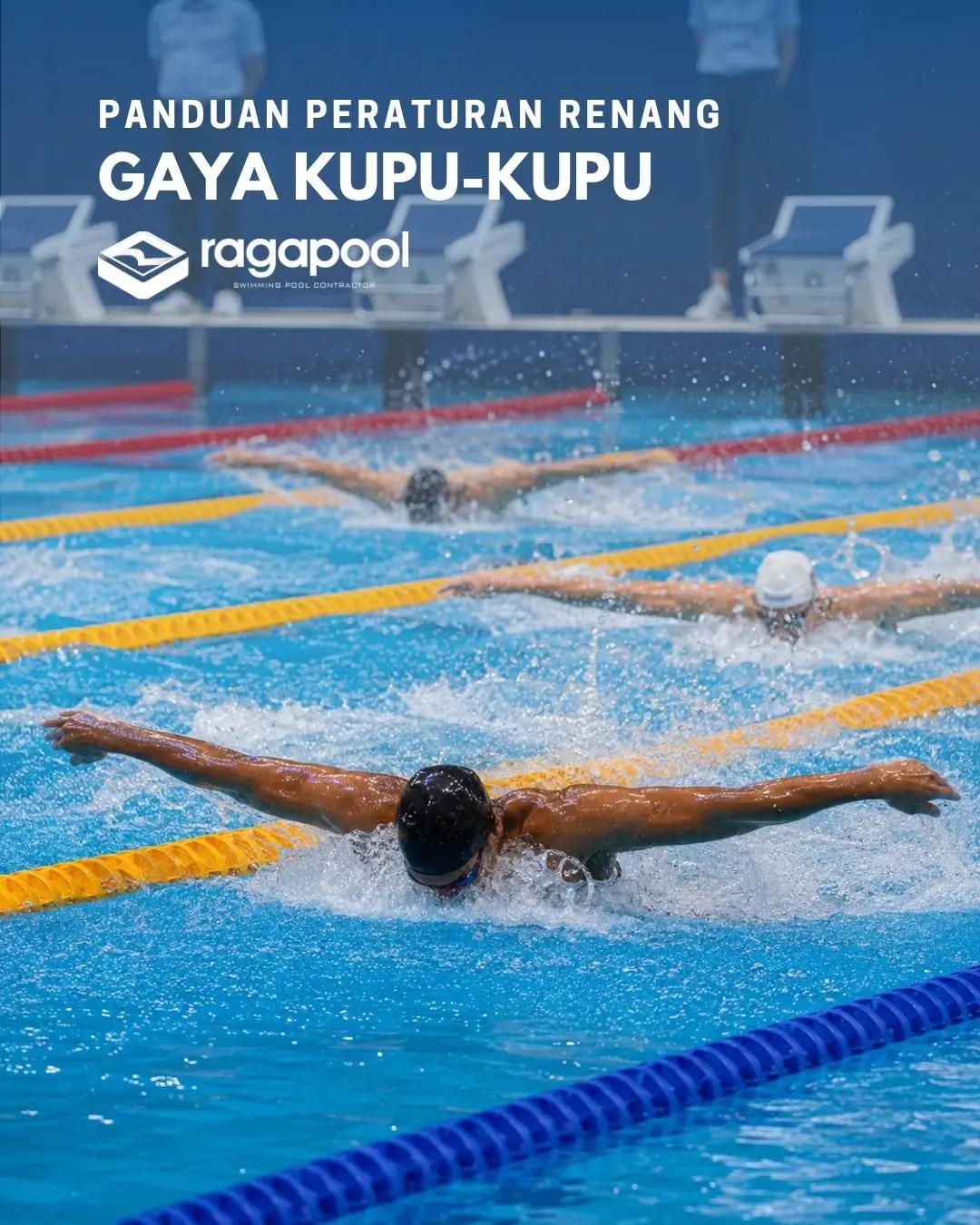 peraturan renang gaya kupu kupu