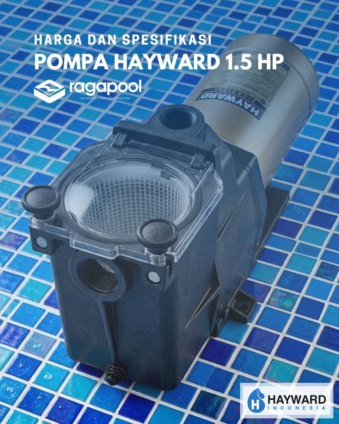 pompa hayward 1.5 hp
