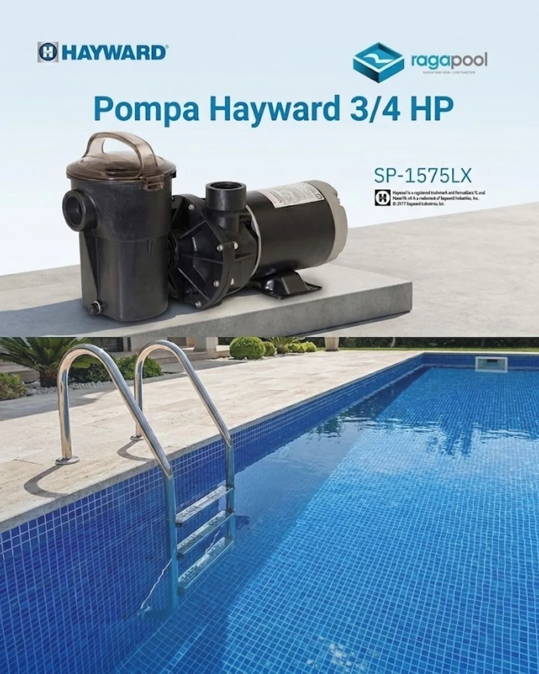 pompa hayward 3/4 hp